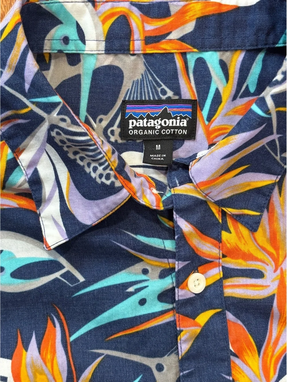 Patagonia this men